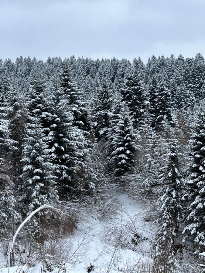 Belvedere-Karpaty-Panorama Skhidnytsia Eksteriør billede