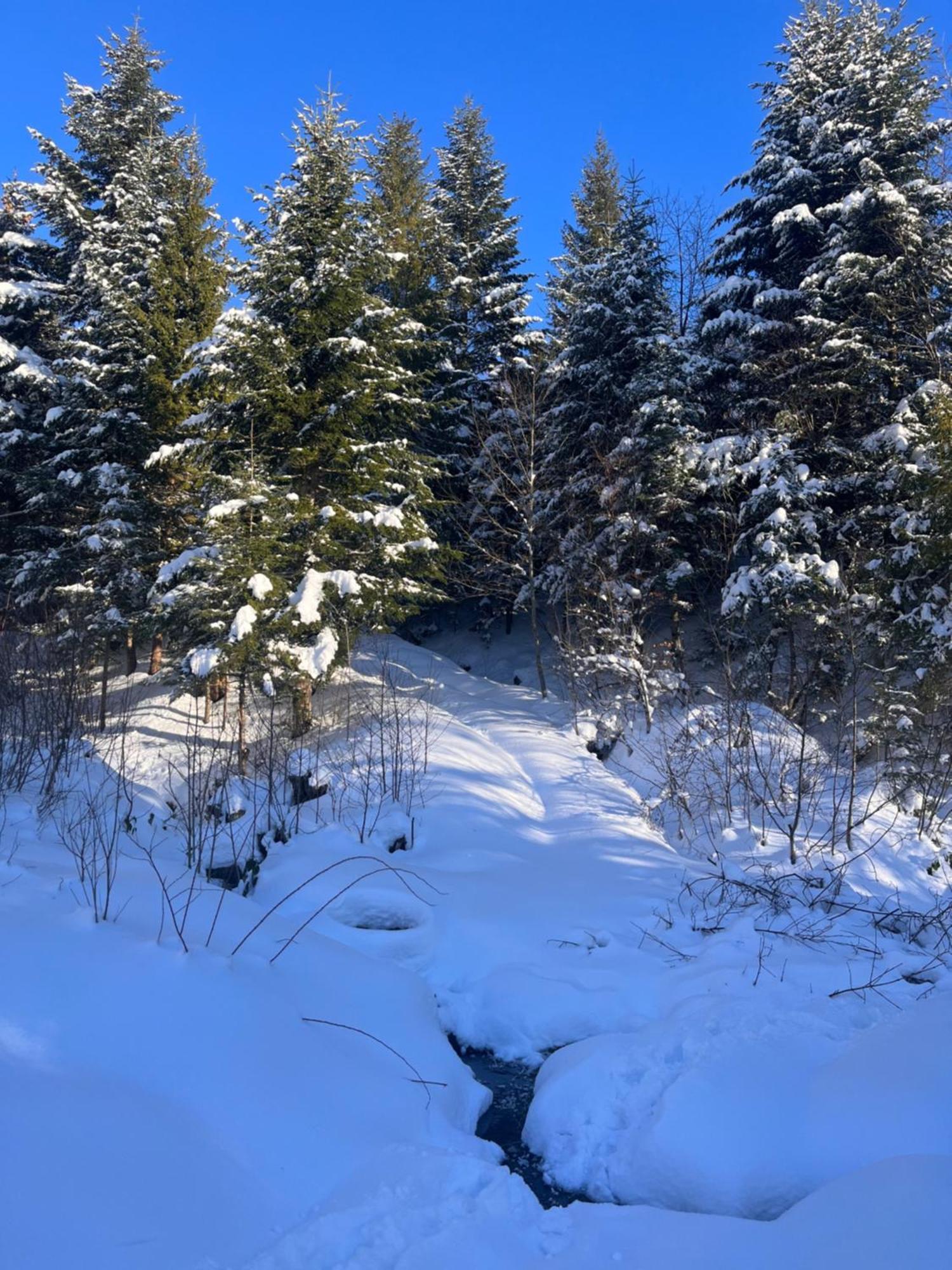 Belvedere-Karpaty-Panorama Skhidnytsia Eksteriør billede